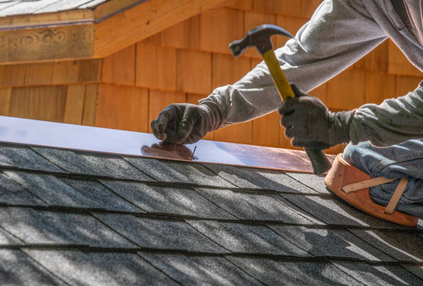 Best Roof Coating and Sealing  in Burton, SC