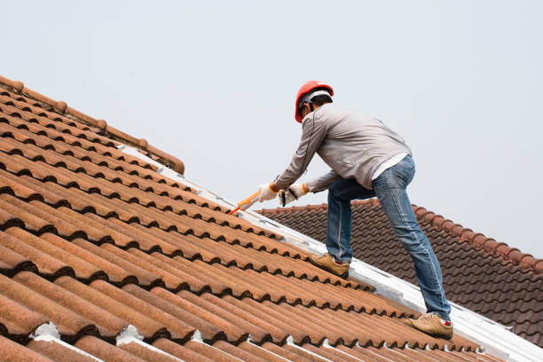 Best Green or Eco-Friendly Roofing Solutions  in Burton, SC